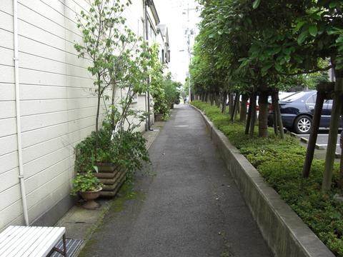 持田屋小路(白潟本町) 持田屋小路(白潟本町)