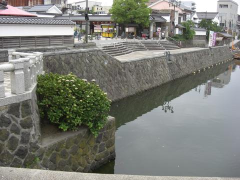 東(ひがし)京橋のあじさい 東(ひがし)京橋のあじさい