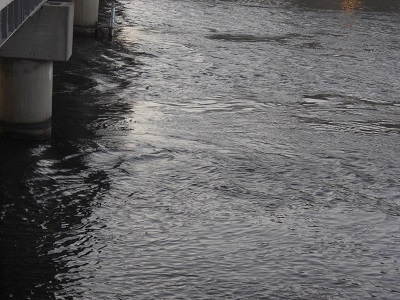 大橋川の渦潮 大橋川の渦潮