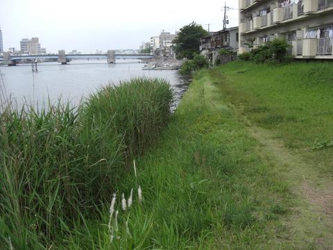 事務所の川端(東本町5丁目) 事務所の川端(東本町5丁目)
