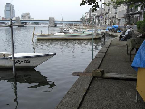 大橋川(東本町4丁目) 大橋川(東本町4丁目)