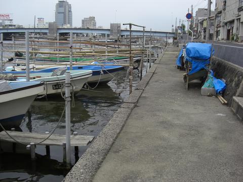 大橋川(東本町4丁目) 大橋川(東本町4丁目)