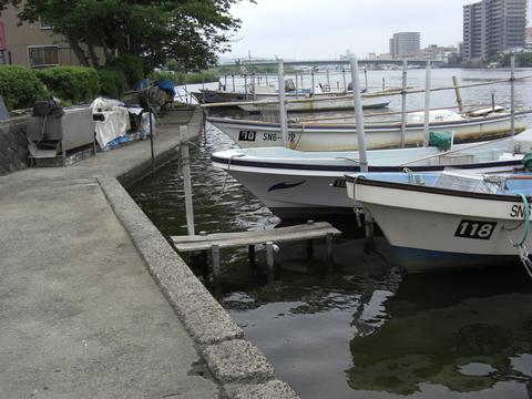 大橋川(東本町4丁目) 大橋川(東本町4丁目)