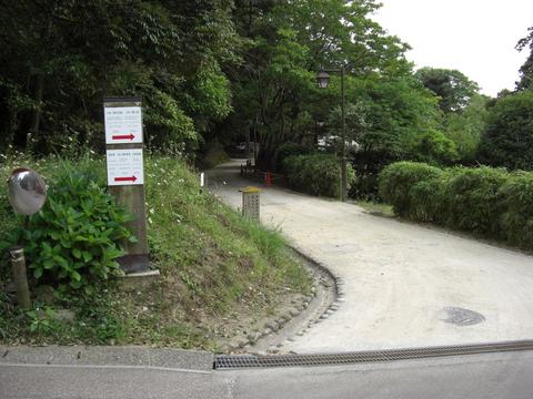 椿谷へ(城山) 椿谷へ(城山)
