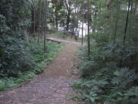 竹林の小径(城山) 竹林の小径(城山)