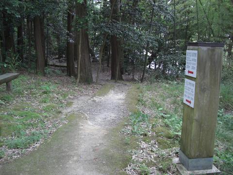 竹林の小径(城山) 竹林の小径(城山)